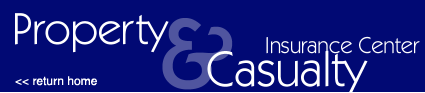 Property and Casualty Insurance Center
